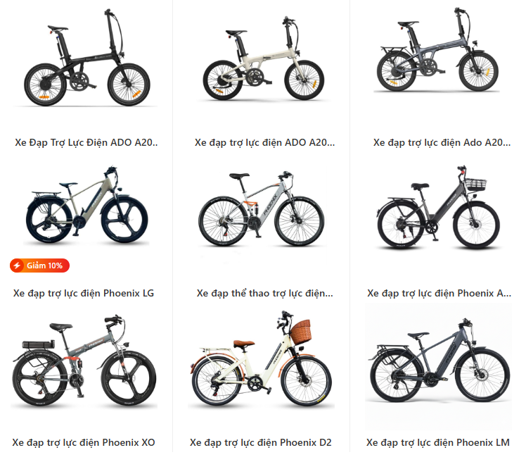 Các Dòng Xe Đạp Trợ Lực Nổi Bật